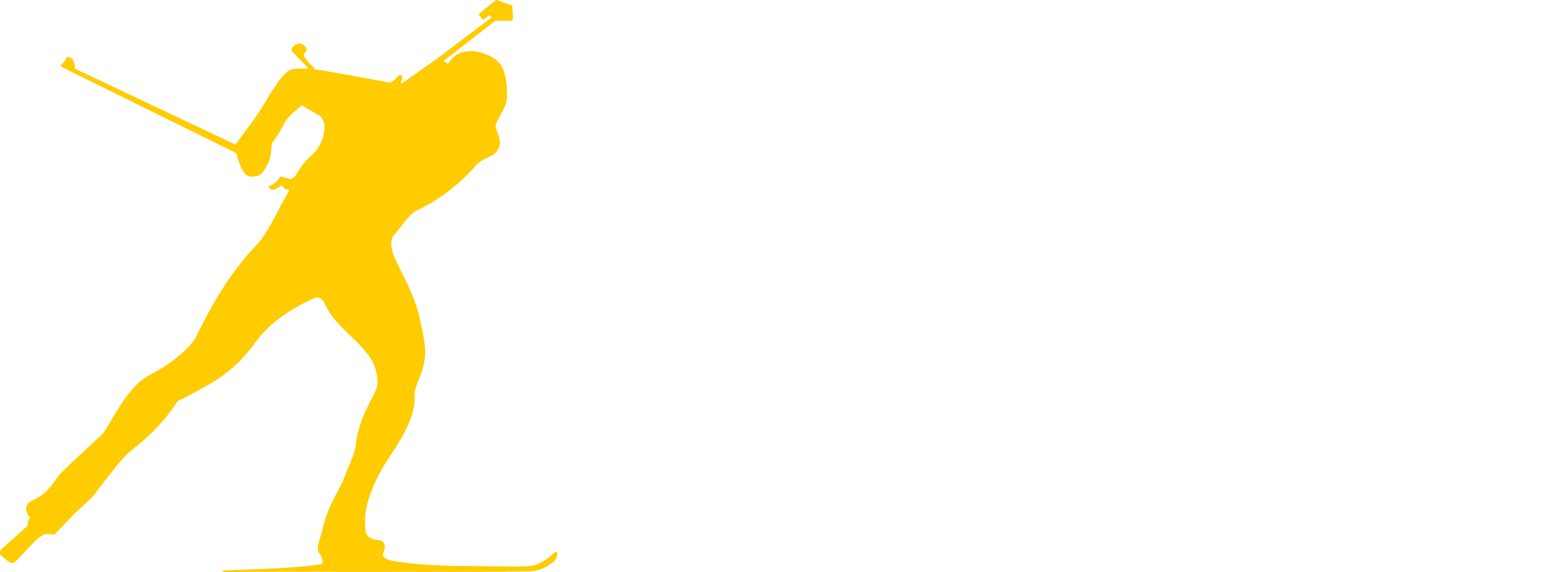 Dolnośląski Związek Biathlonu